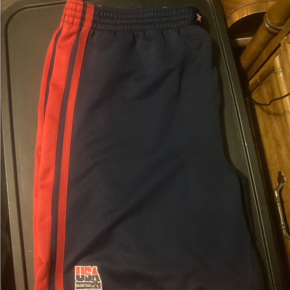 Mens USA Nike shorts